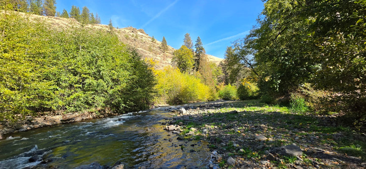 South Fork Walla Walla River at Harris Park