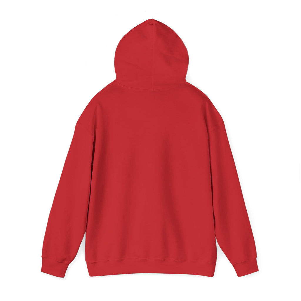 Patriotic Boy Mom Hoodie | Red White & Blue Mom Gift